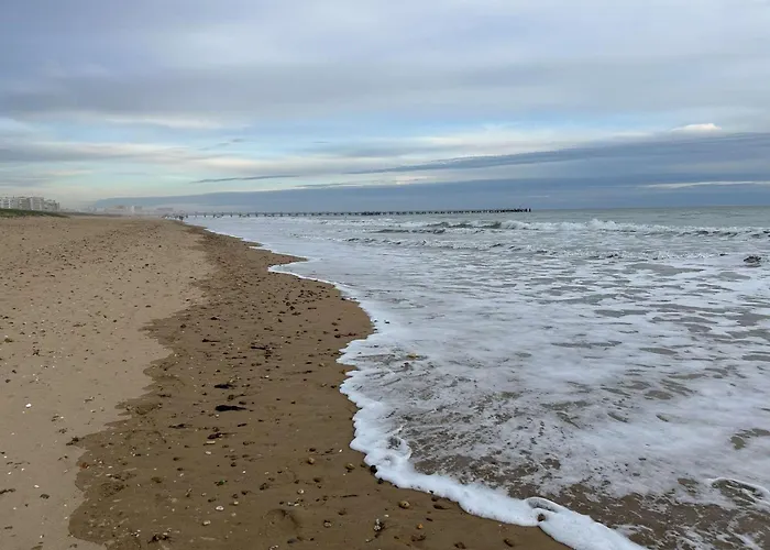 Sj000-36d - 2 Pieces - 5 A 6 Couchages Saint Jean De Monts * Les Bains